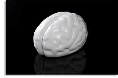 Finding a Psychology Career Finding a Psychology Career